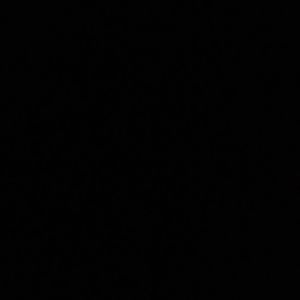 Meet your Posher, Leona